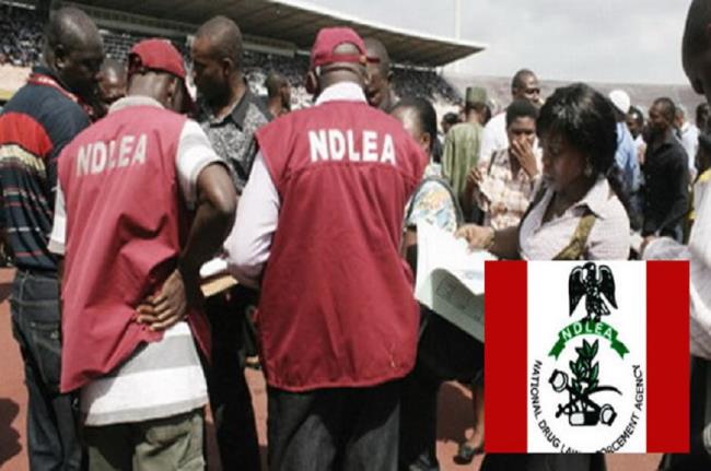NDLEA Releases List Of Successful Applicants In Recruitment Exercise