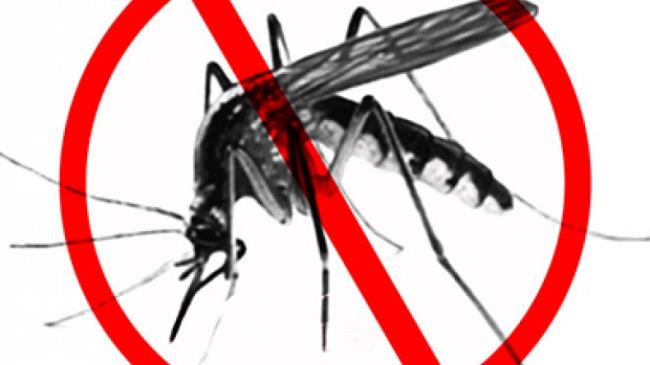 Commentary – Ensuring Zero Malaria In A Covid-19 Era