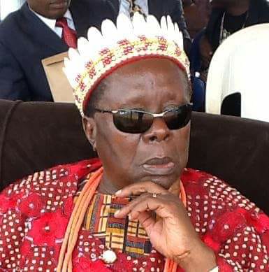 Awka Monarch Obi Gibson Nwosu Disassociates Self From Awka Day Celebration,  Cautions Against Attendance