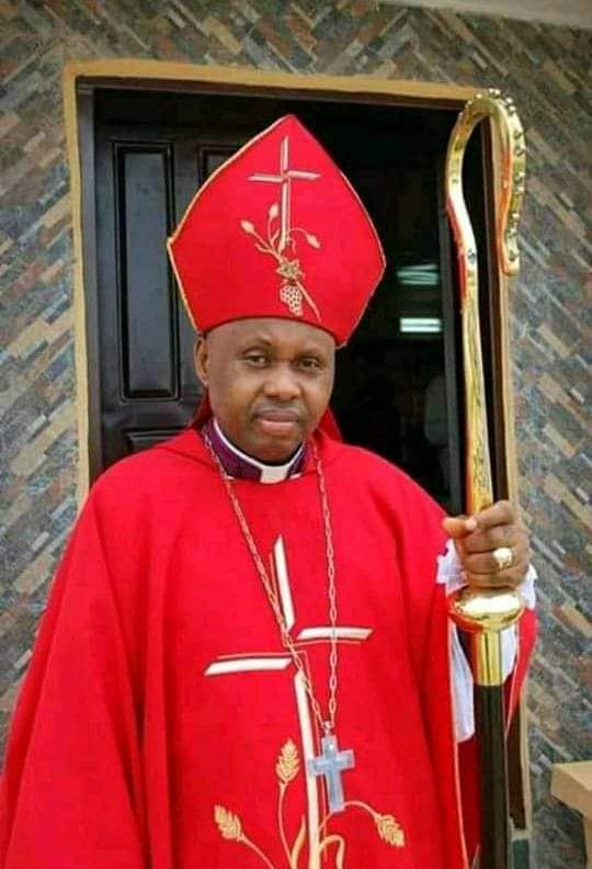 Bishop Ibezim Emerges New Archbishop Ecclesiastical  Province Of Niger