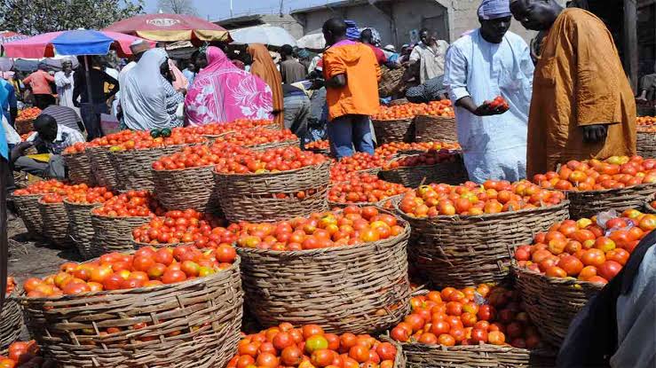 Commentary: Rural Access And Agricultural Marketing Project In Anambra