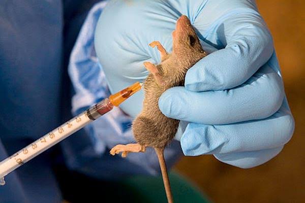 Lassa Fever: Epidemiologist Obagha Reassures Ndi Anambra