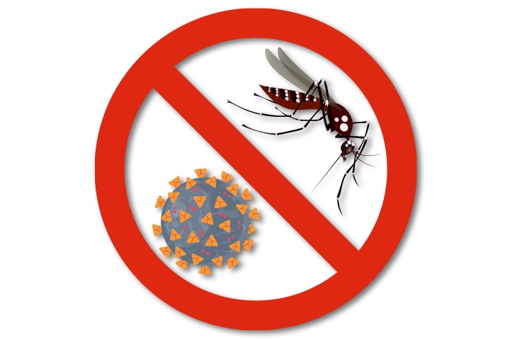 WHO Worried COVID -19 Will Undermine Fight Against Malaria In Africa