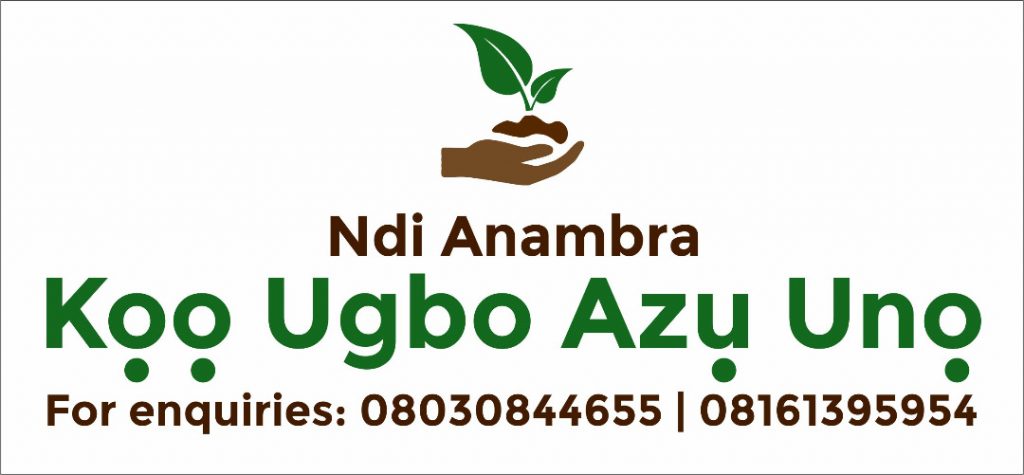 Commentary: Food Security Amid COVID-19, The Ugbo Azu Uno Initiative