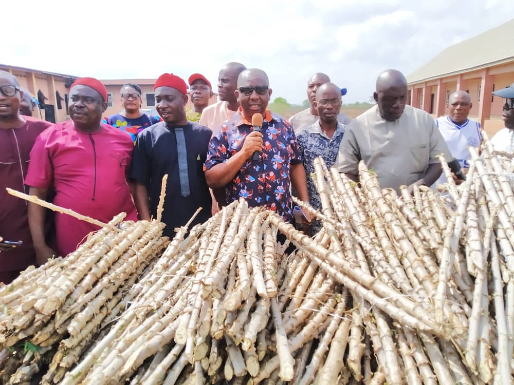 Anambra Lawmaker Udoba Distributes Cassava Stems To Flood Displaced Persons In Anambra West To Kickstart Farming