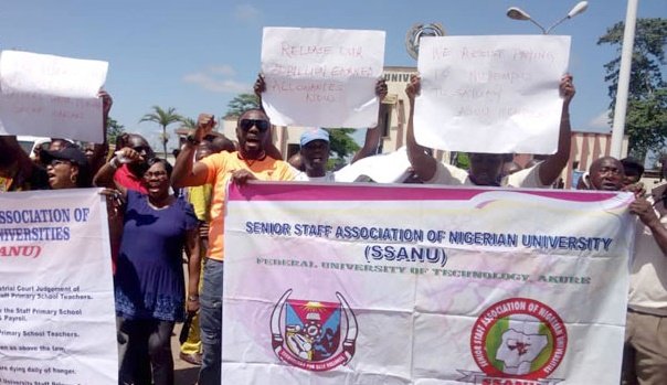 SSANU, NASU Insist On Strike February 5