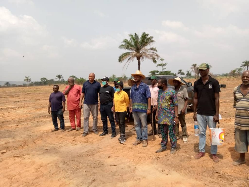 Anambra State Govt Develops More Acres Of Land For Rice Production