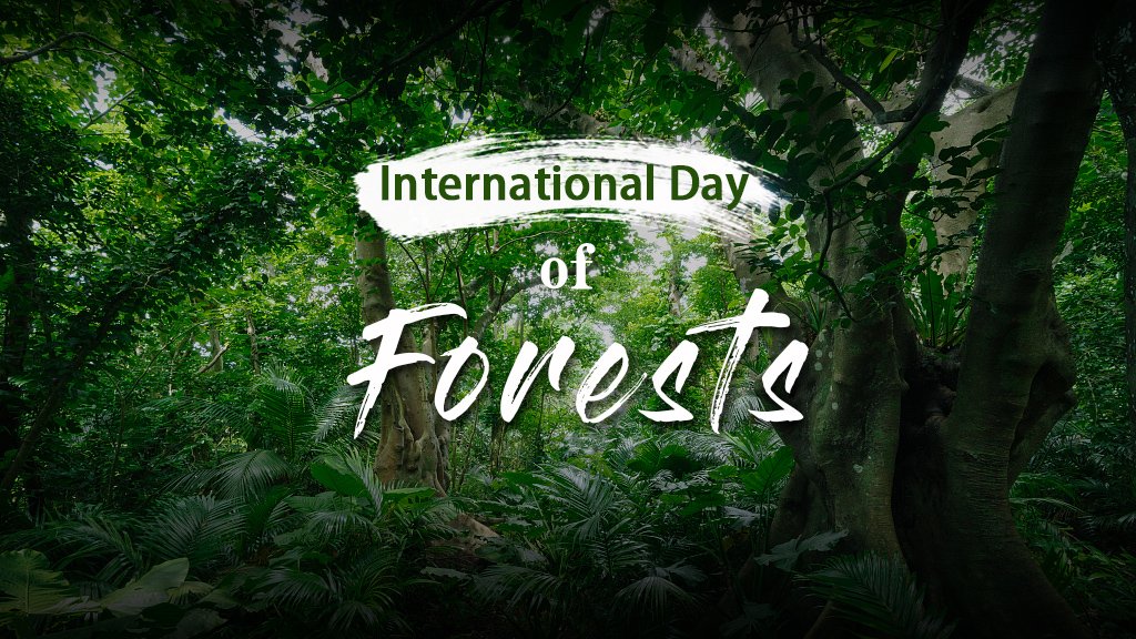 Today Is International Day of Forest