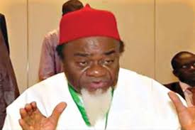 Ohaneze Ndigbo VP Asks FG To Immortalize Former Anambra Governor Ezeife