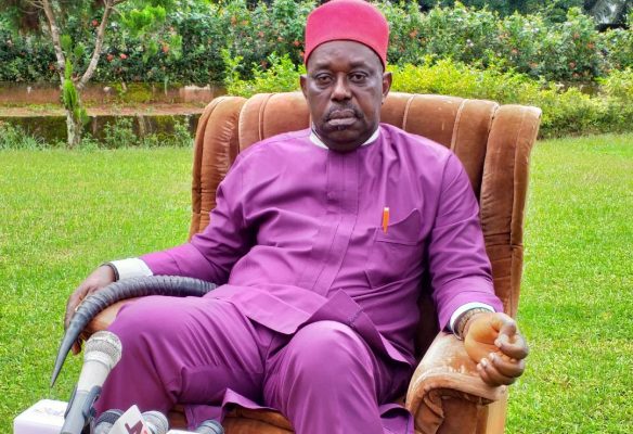 Ohaneze Ndigbo VP Urges Ndi Anambra To Back Soludo’s PPCP Initiative