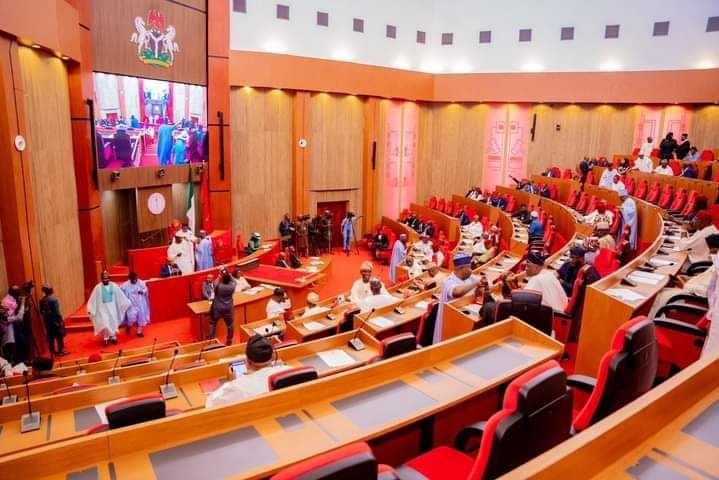 Bill To Protect Local Raw Materials Scales First Reading At National Assembly