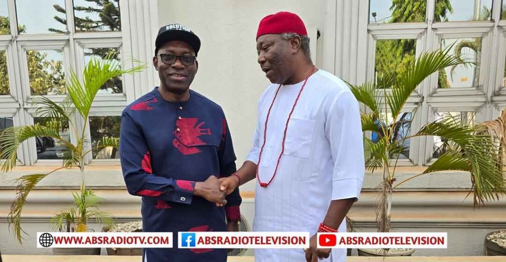 Business Executive Nzekwe Extols Soludo In Infrastructure, Human Capital Development